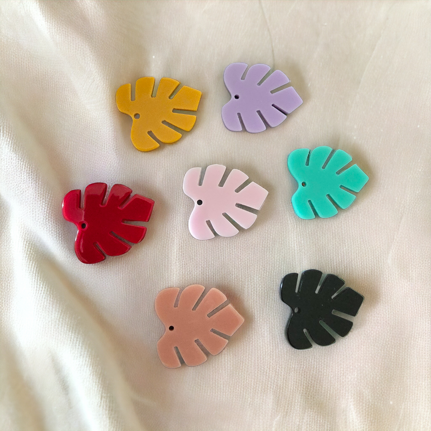 Candy monsterra
